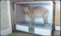 Dog grooming hotsell drying cabinet